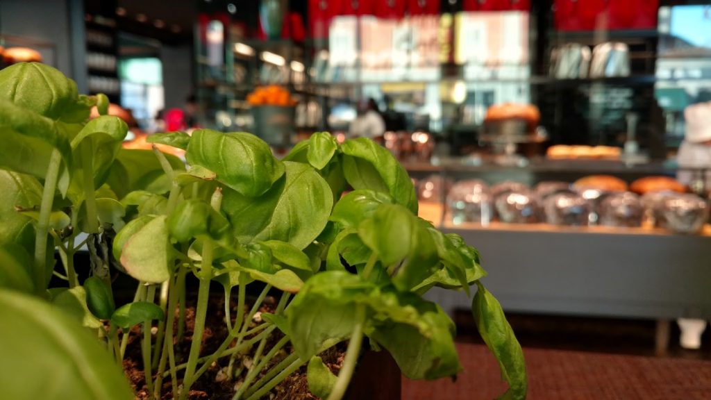 motorola-x-force-il-mio-test