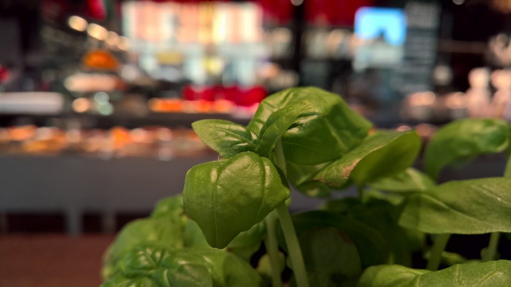 microsoft-lumia-950-il-mio-test