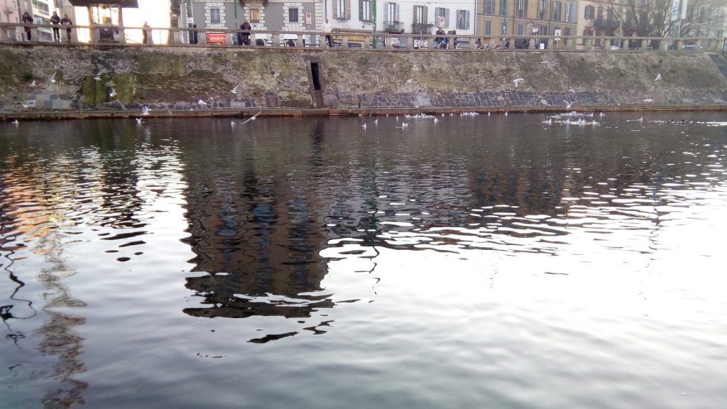 umi-iron-pro-cosa-ne-penso