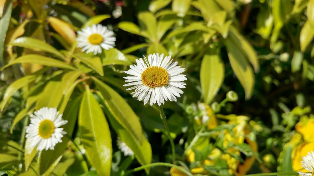 lg-g5-la-recensione