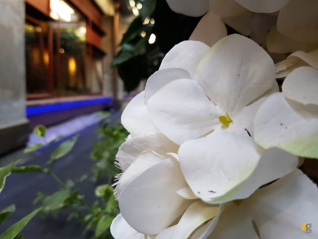 che-telefono-scegliere-tra-i-top-di-gamma-2016-il-confrontone