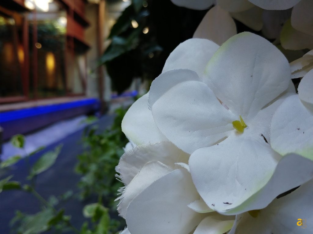 che-telefono-scegliere-tra-i-top-di-gamma-2016-il-confrontone