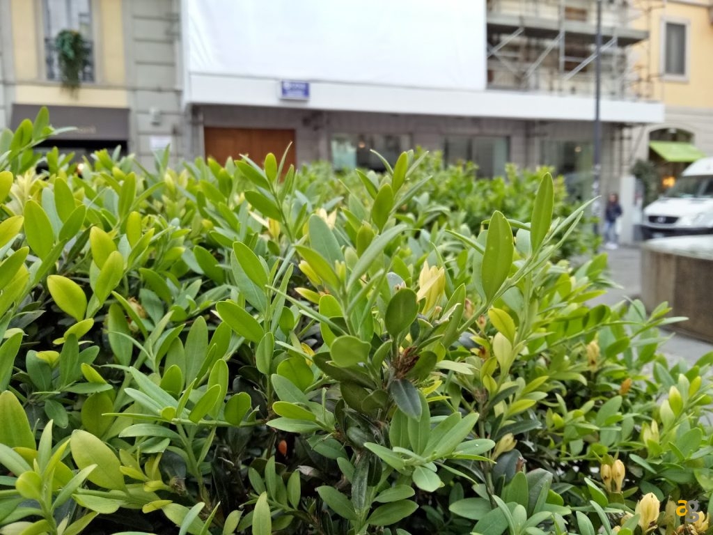 oppo-f1-plus-la-recensione