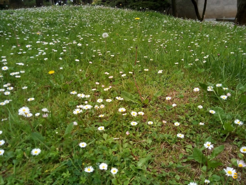 leagoo-shark-1-il-cinesone-recensione