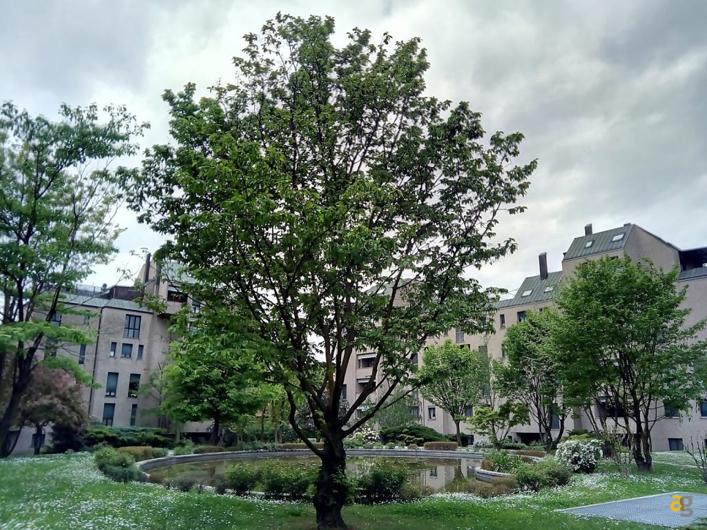 leagoo-shark-1-il-cinesone-recensione