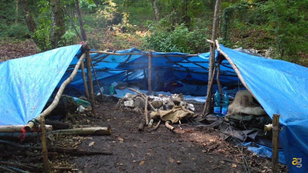 io-il-nuovo-apple-macbook-24-ore-un-bosco-sopravvissuti