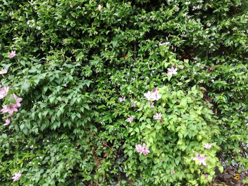 huawei-p9-lite-la-recensione