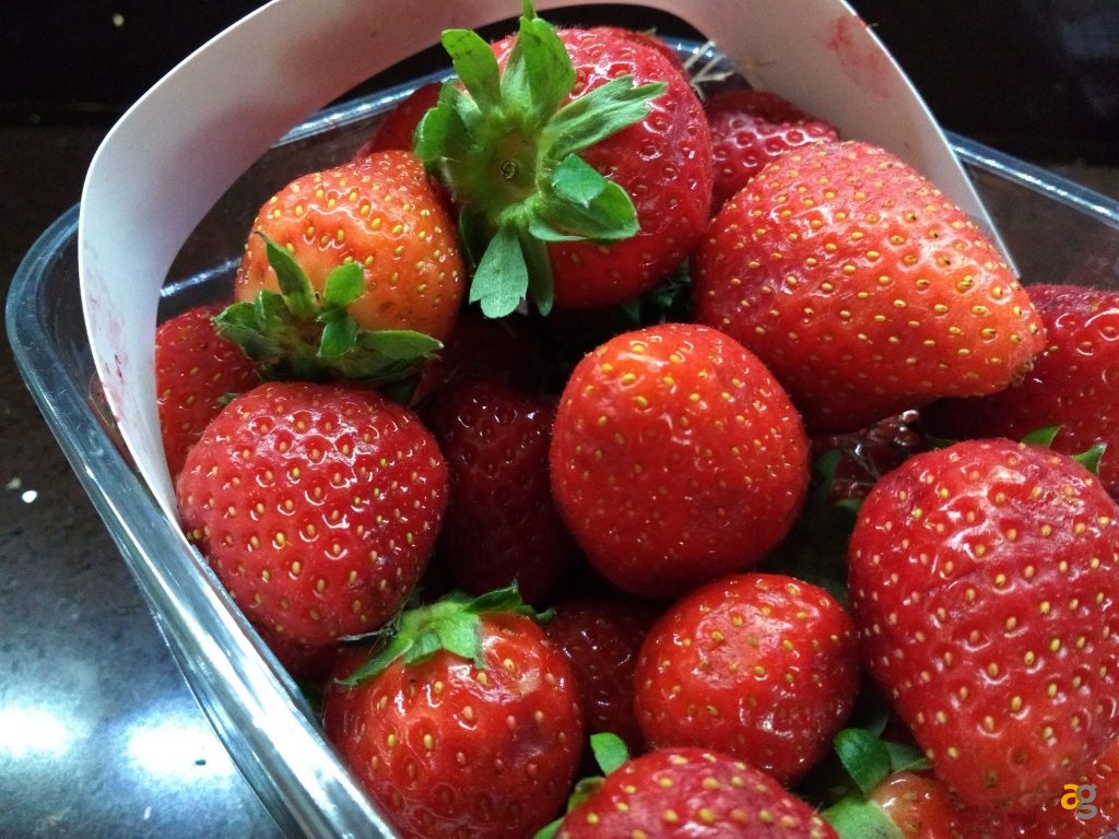 moto-g4-2016-la-recensione