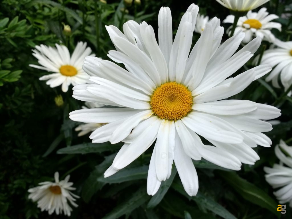 moto-g4-2016-la-recensione