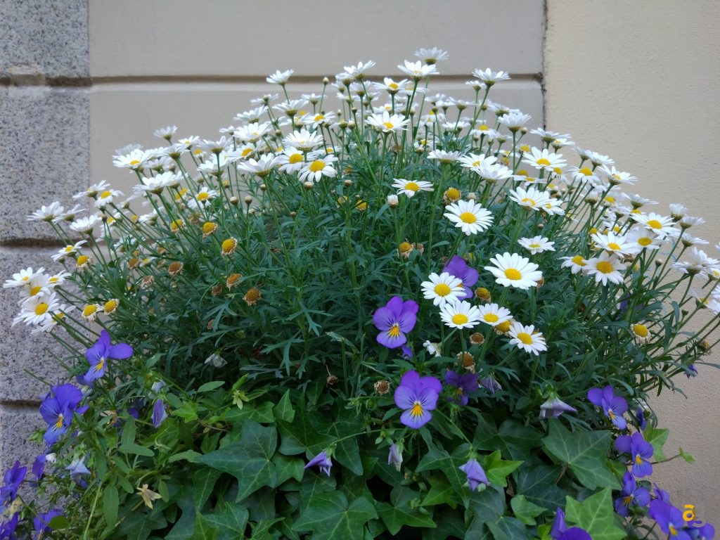 xiaomi-mi5-pro-recensione-e-confronto-flash