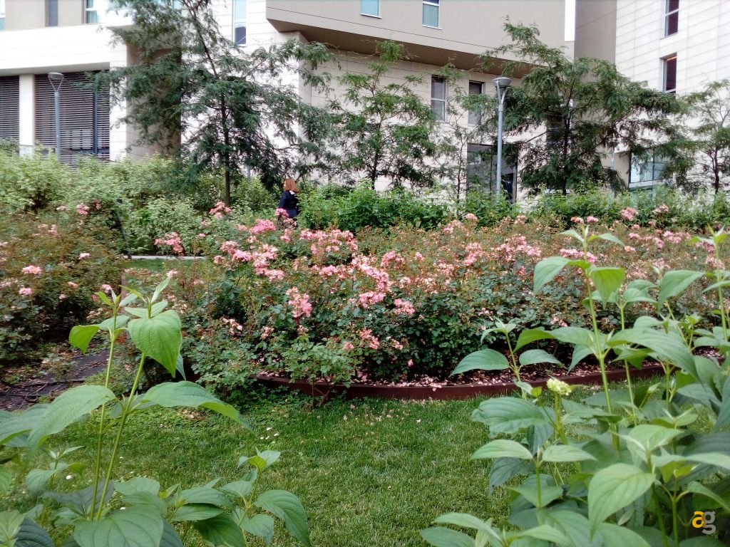 tp-link-neffos-c5-la-recensione