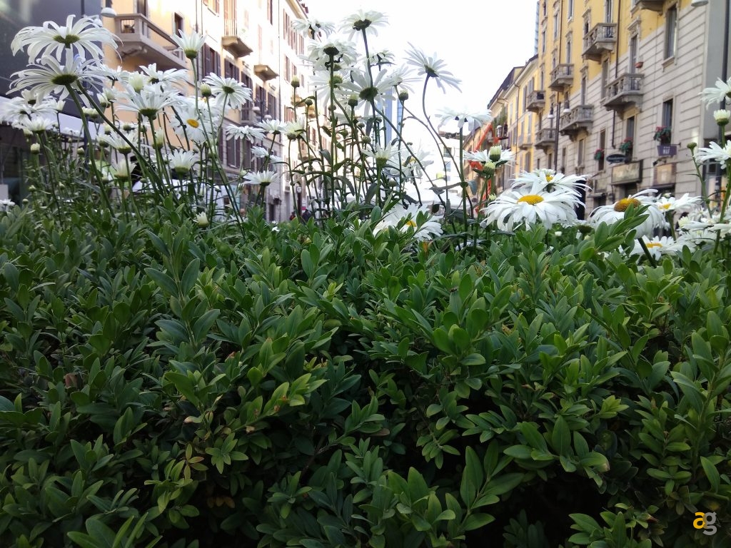 xiaomi-mi-max-recensione