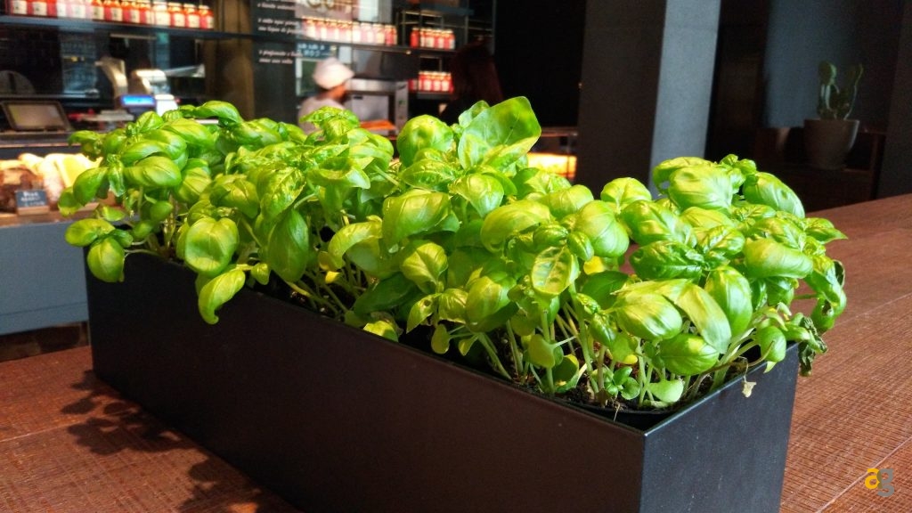 alcatel-idol-4s-la-recensione