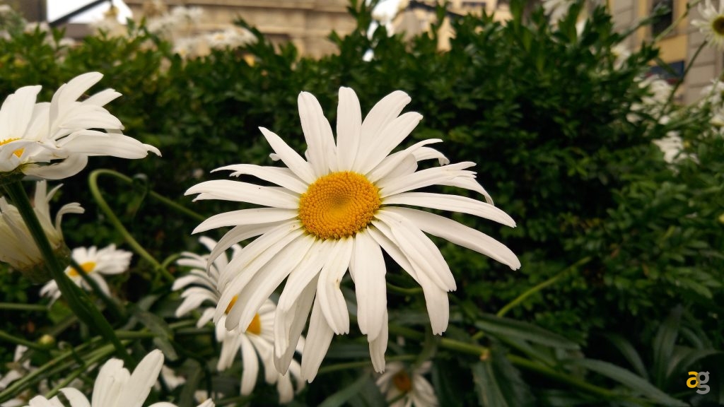 alcatel-idol-4s-la-recensione