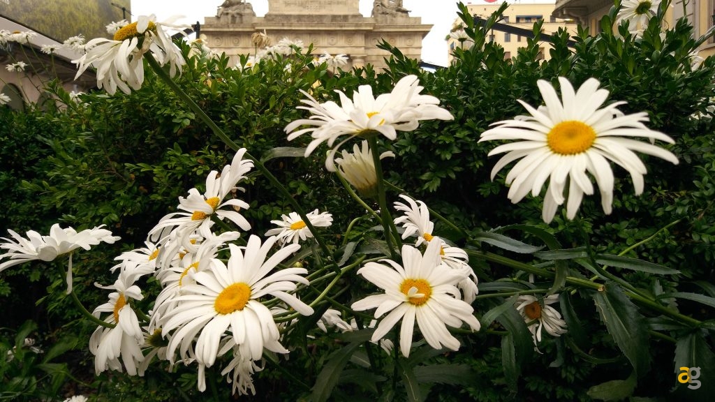 alcatel-idol-4s-la-recensione