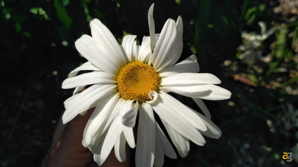 xiaomi-redmi-3s-recensione-flash