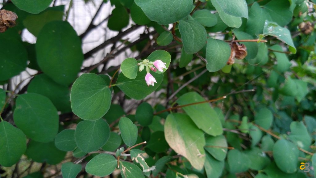 zuk-z2-pro-la-recensione