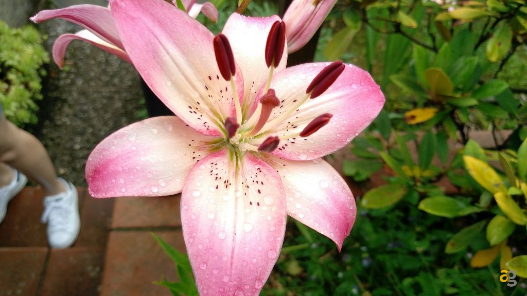 zuk-z2-pro-la-recensione