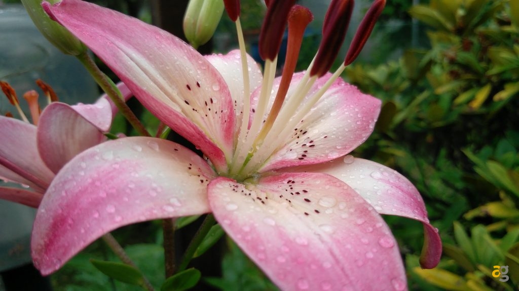 zuk-z2-pro-la-recensione