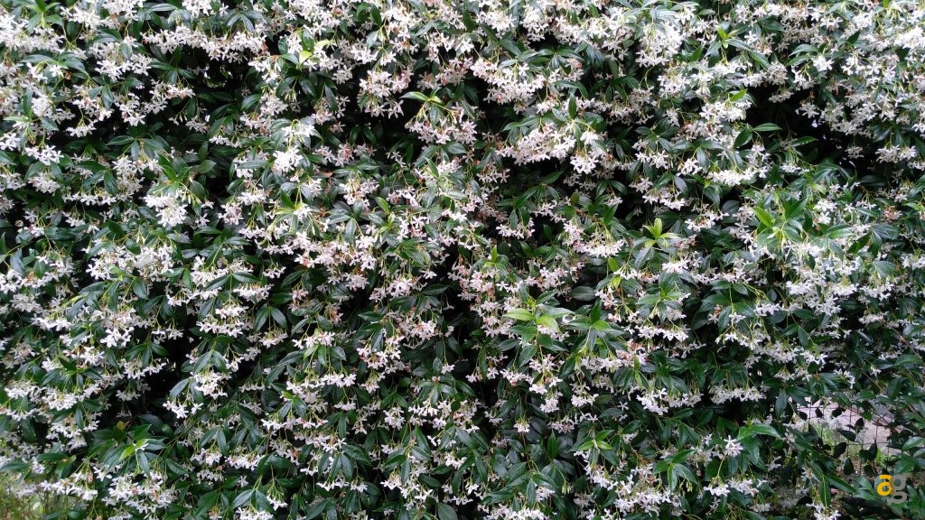 zuk-z2-pro-la-recensione