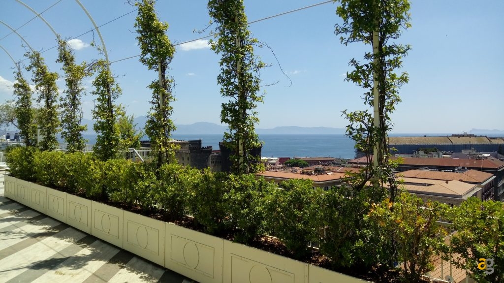 lg-x-cam-la-recensione