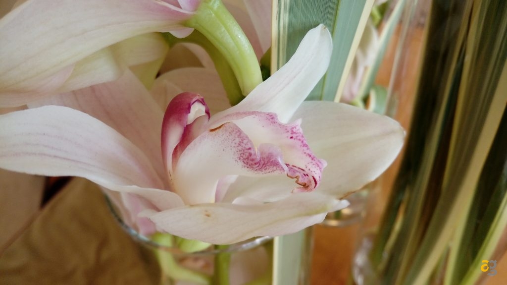 lg-x-cam-la-recensione