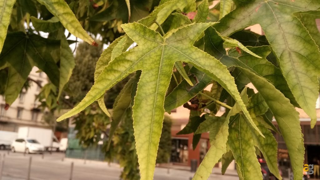 blackview-r7-la-recensione