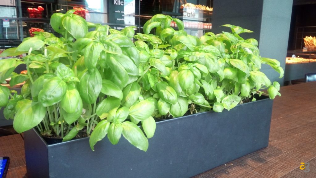 mediacom-phonepad-duo-x555u-la-recensione