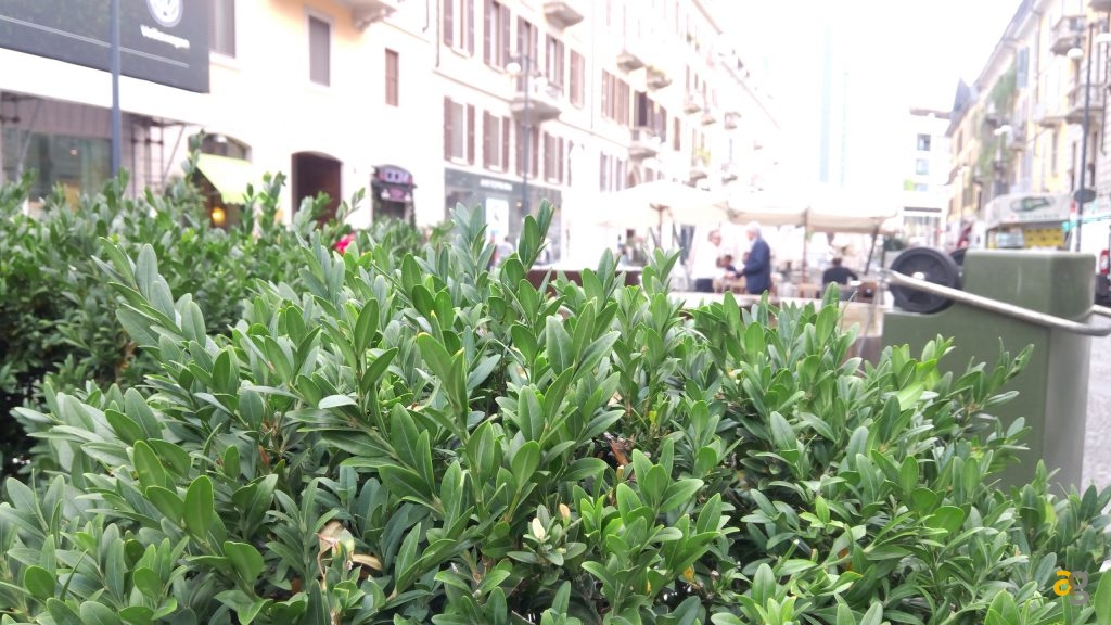 mediacom-phonepad-duo-x555u-la-recensione