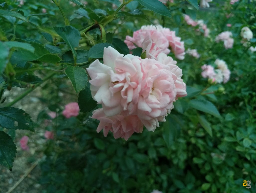 meizu-mx6-la-recensione