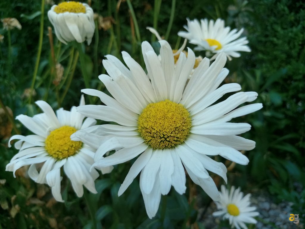 meizu-mx6-la-recensione