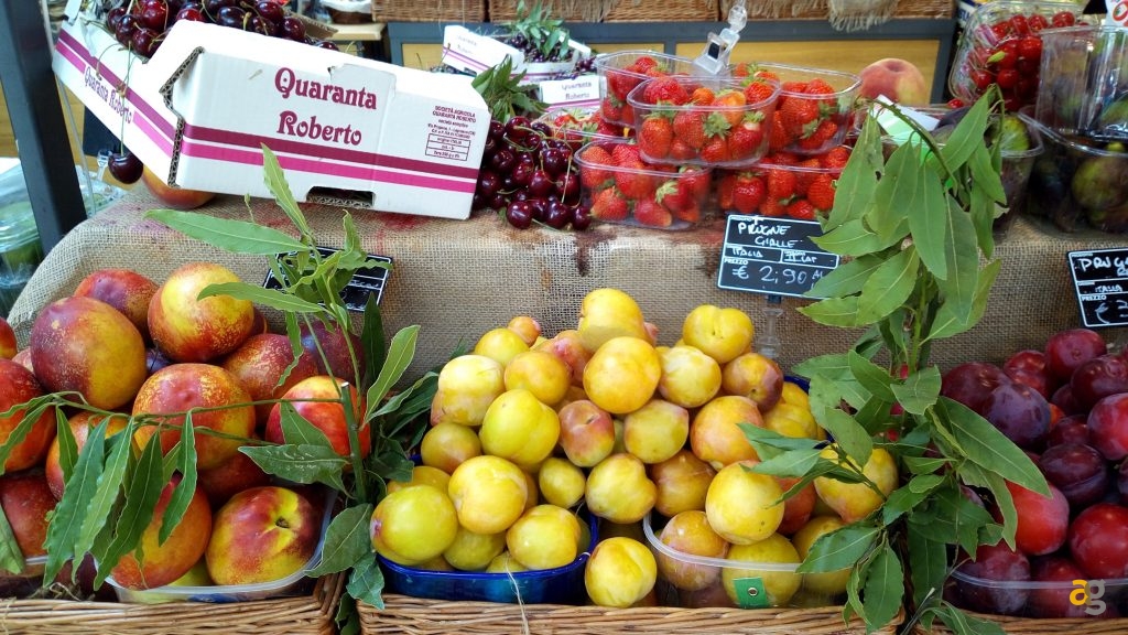 vernee-thor-la-recensione