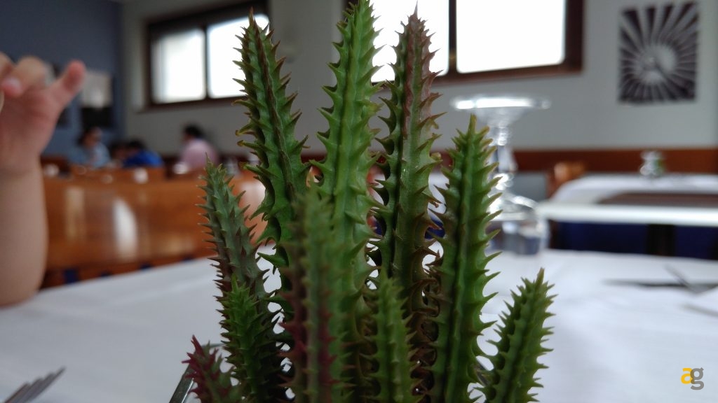 zte-axon-7-prime-impressioni