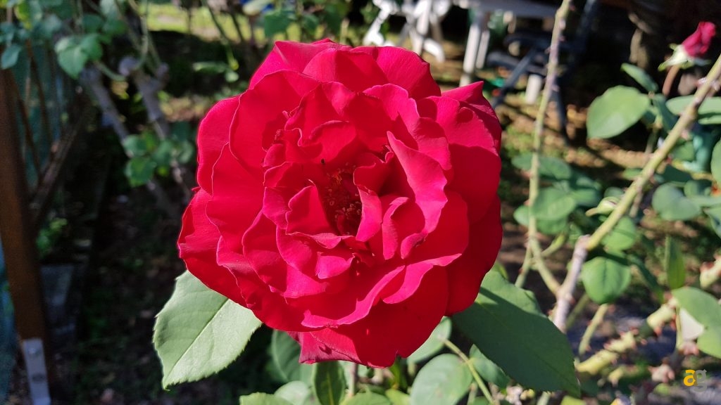 samsung-note-7-recensione