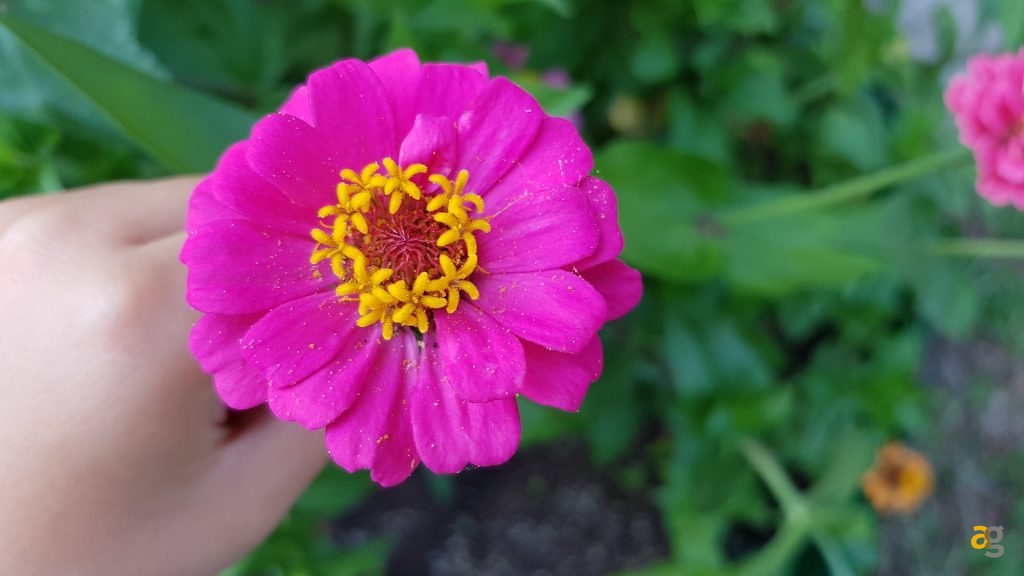 samsung-note-7-recensione