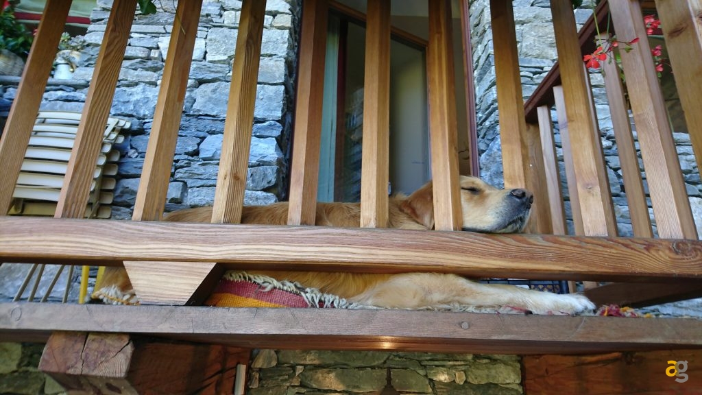 sony-xperia-x-performance-la-recensione