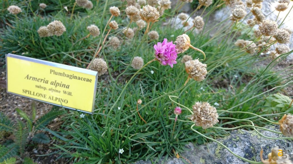 sony-xperia-x-performance-la-recensione