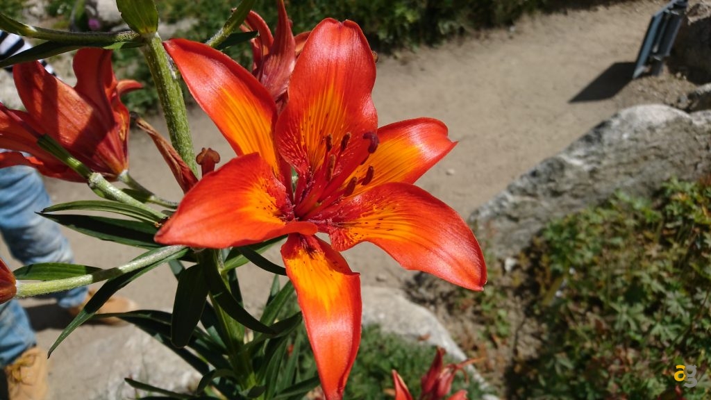 sony-xperia-x-performance-la-recensione