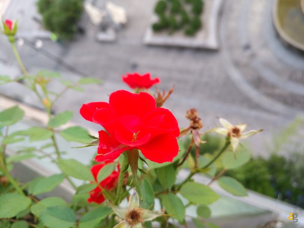 huawei-nova-plus-recensione