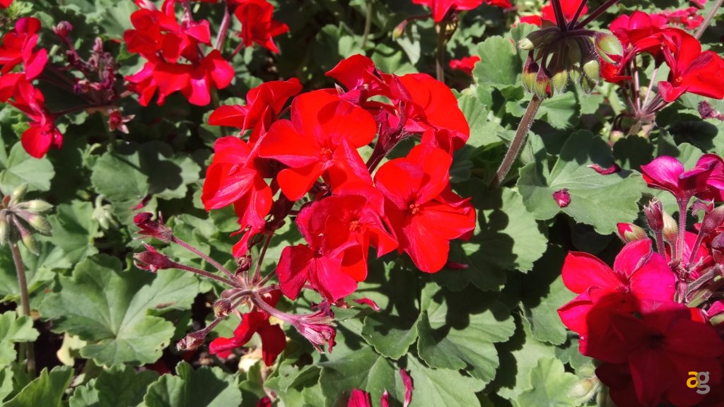 xiaomi-redmi-note-4-recensione