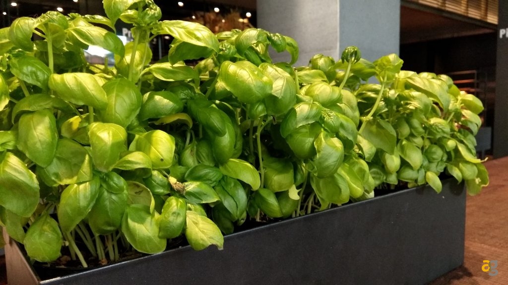 leeco-cool1-anteprima