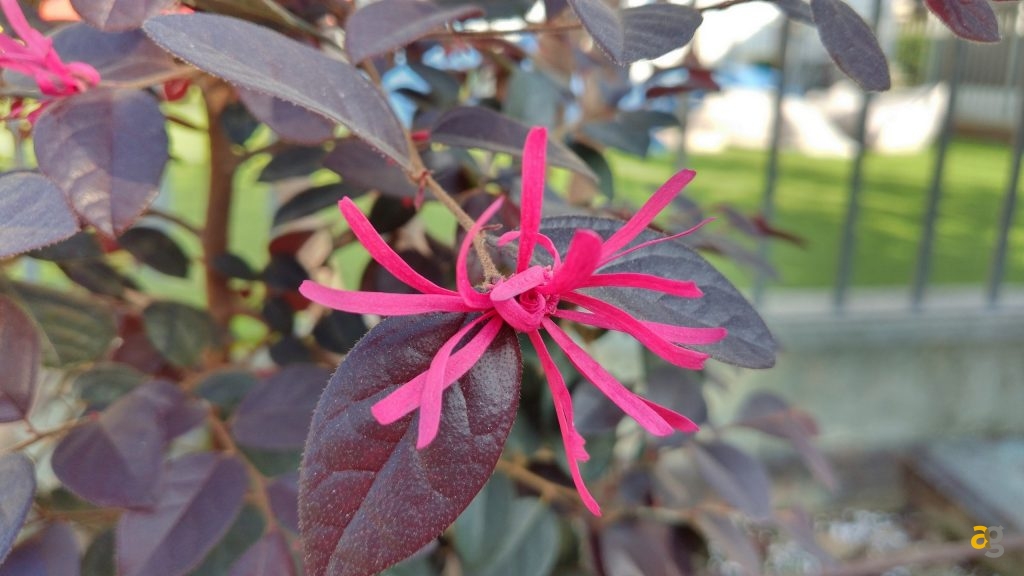 zte-axon-7-recensione