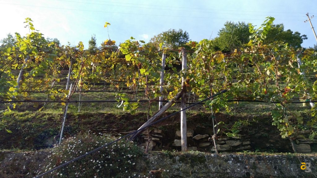 snapdragon-821-leeco-pro3-recensione