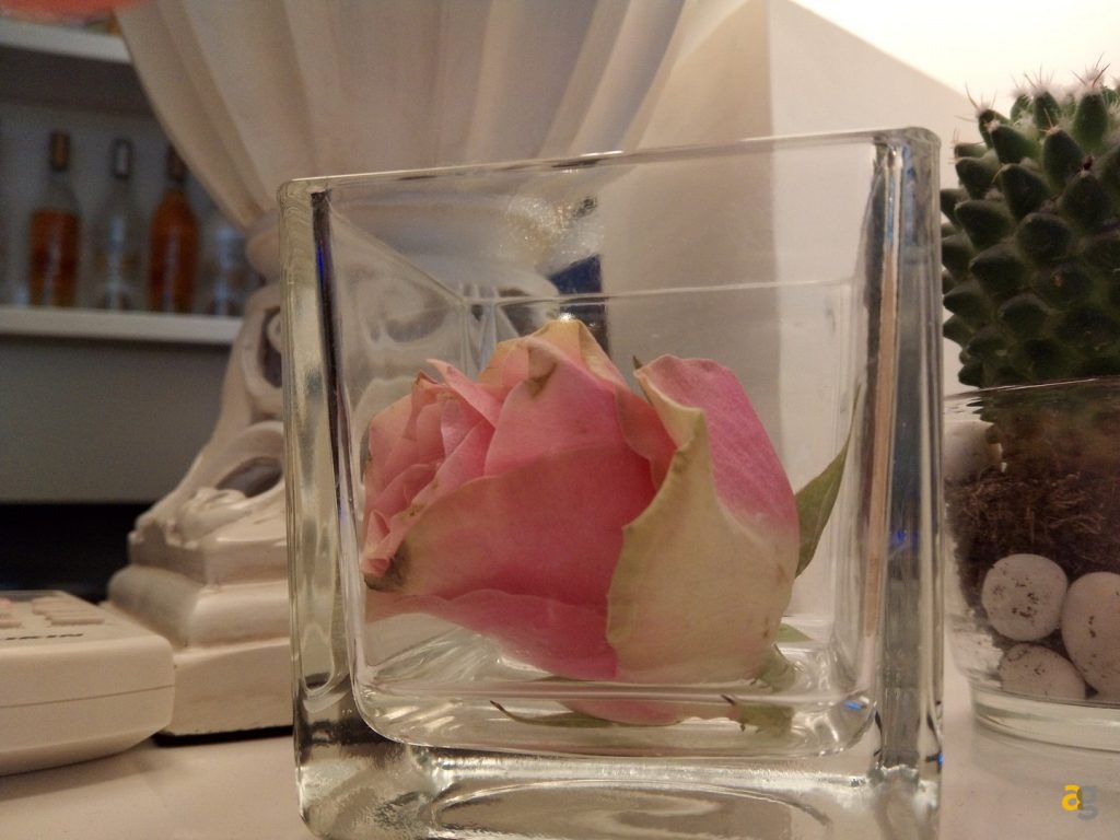 umi-plus-la-recensione