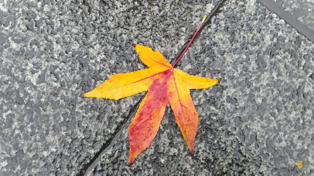 asus-zenfone-3-deluxe-recensione