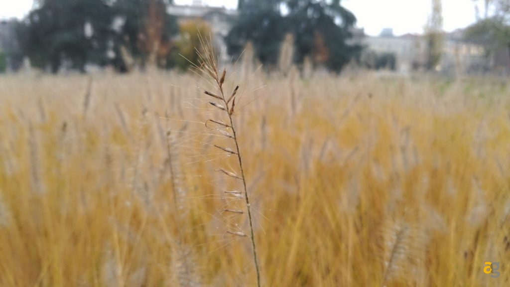 asus-zenfone-3-deluxe-recensione