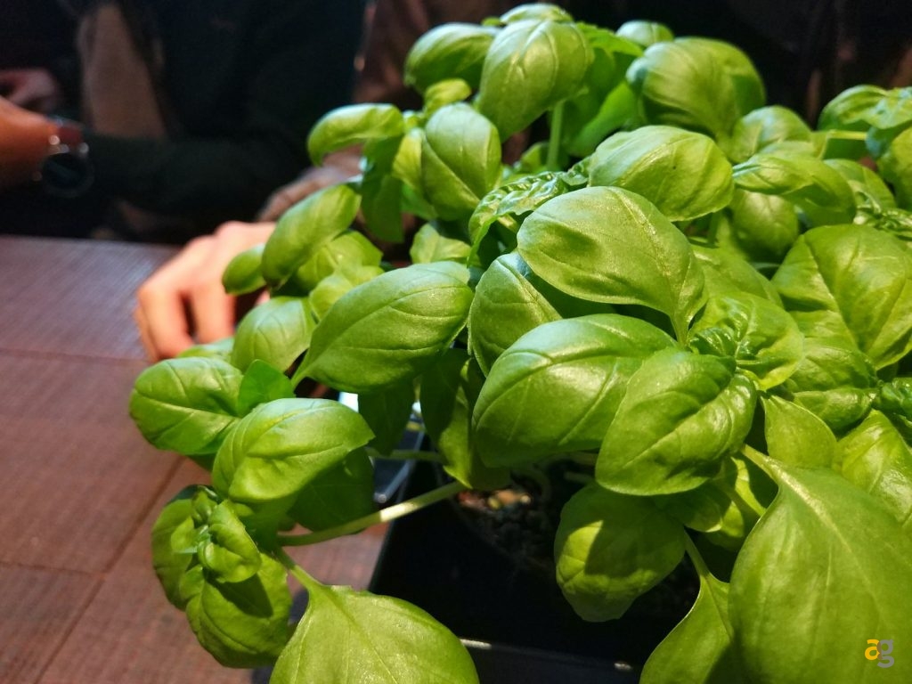 xiaomi-mi5s-recensione