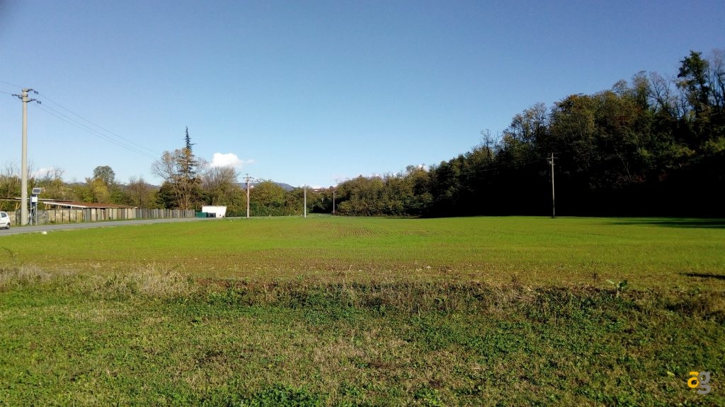 alcatel-shine-lite-recensione