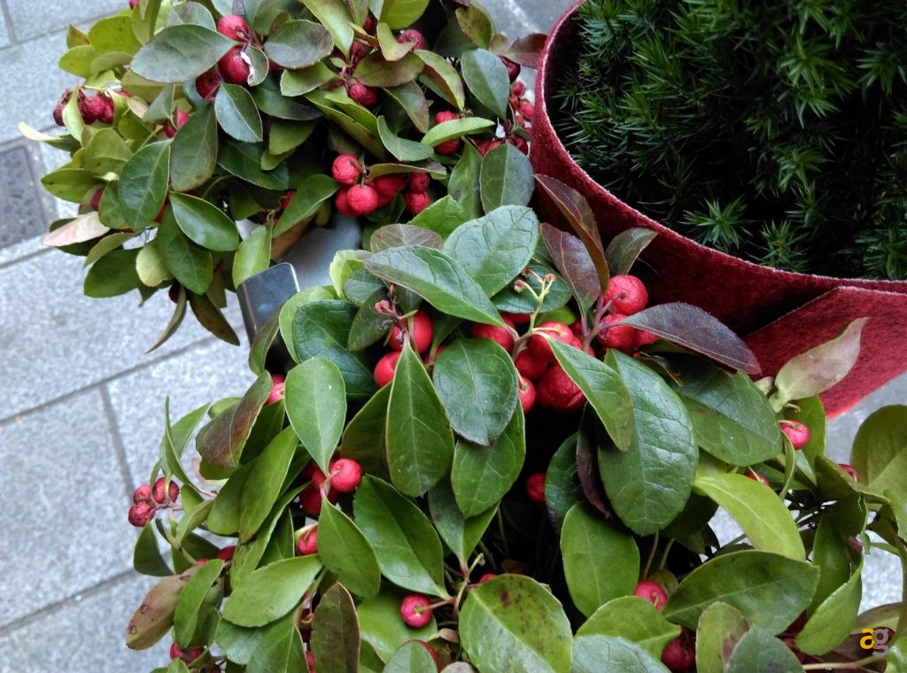 htc-desire-10-lifestyle-recensione