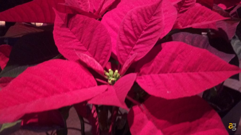 htc-one-a9s-recensione